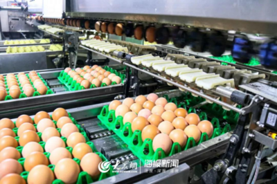 1元微力量 捐款到武汉丨30枚爱心鲜鸡蛋26.8元,顺丰包邮到家