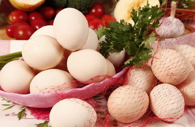 价格行情系统 6月底以来全国鸡蛋价格涨幅超一成
